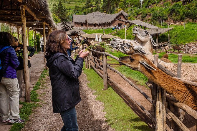 Sacred Valley and Machu Picchu Tour in 2 days with Peru Vip - Ollantaytambo, Temple of the Sun, then the train to Aguas Calientes