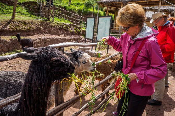 Sacred Valley and Machu Picchu Tour in 2 days with Peru Vip - Food, water, and what is actually included