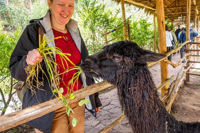 Sacred Valley and Machu Picchu Tour in 2 days with Peru Vip - Who this Peru Vip tour suits best