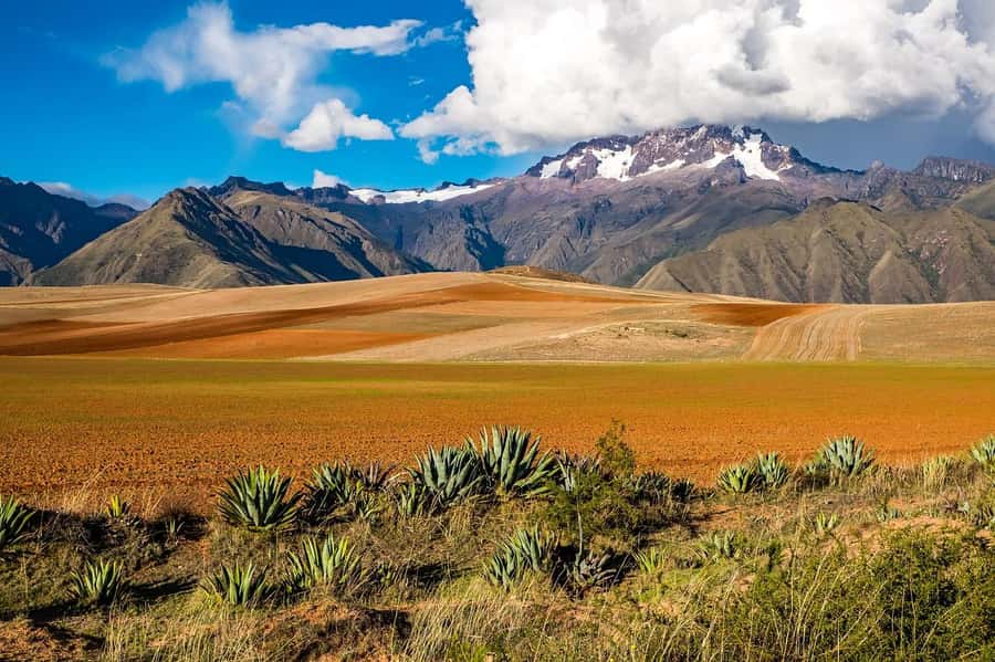 Sacred Valley: Chinchero, Moray, Ollantaytambo & Pisac+Lunch - Ollantaytambo Ruins: Sun Temple, Terraces, and the Machu Picchu Route