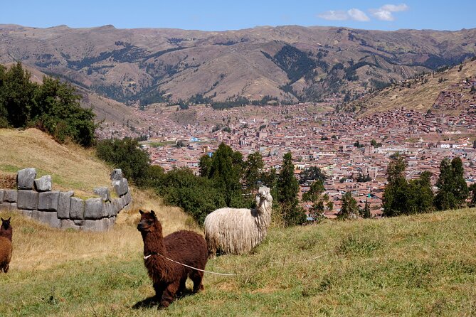 Sacsayhuaman Temple, Tambomachay and Puca Pucara Half-Day Tour - Practical tips for ruins that are higher than they look