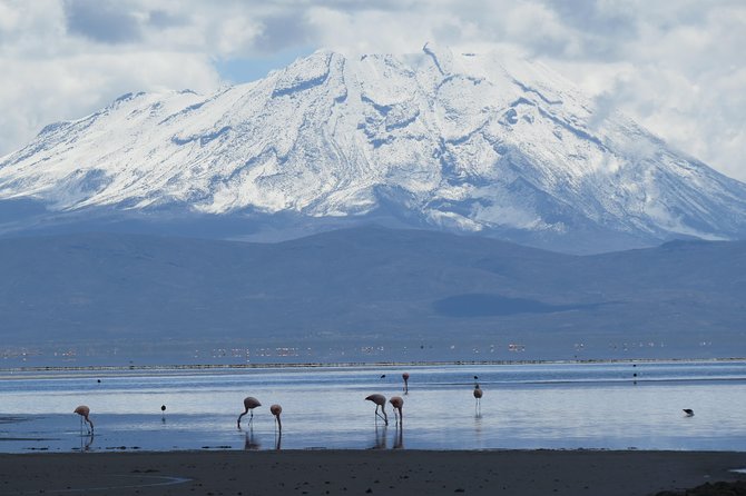 Salinas National Reserve PRIVATE TOUR - The picnic lunch: why it’s more than just food