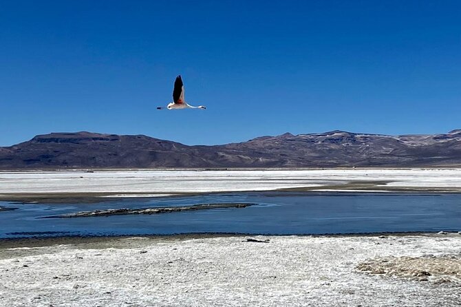 Salinas National Reserve PRIVATE TOUR - Altitude and terrain: what to bring and what the tour does for you