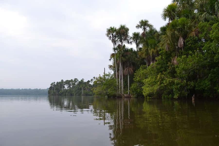 Sandoval lake 2 Days / 1 Night - MonteAmazonico Lodge overnight: the part you actually remember