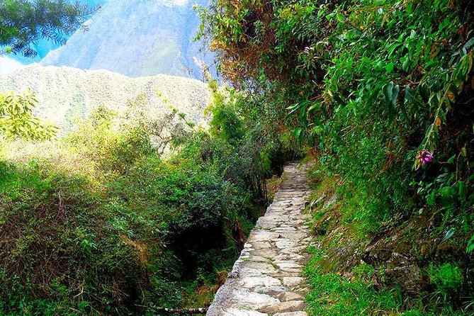 Small Group: 4-Day Inca Trail Trek to Machu Picchu - Camping setup that makes Day 1 feel survivable