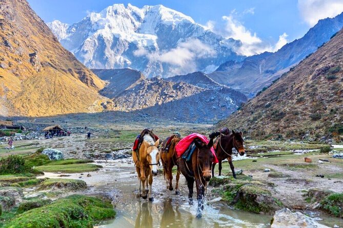 Small Group 5 Days Salkantay and Machu Picchu by Llactapata Tour - Guides, Food, and Trail Support That Matter