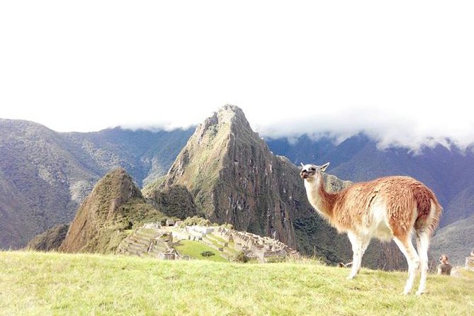 Small-Group Day Tour to Machu Picchu - The Expedition Train to Aguas Calientes: The Scenic Part You Pay For