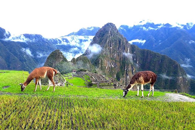 Small-Group Day Tour to Machu Picchu - Morning Pickup in Cusco, Then Off to Ollantaytambo