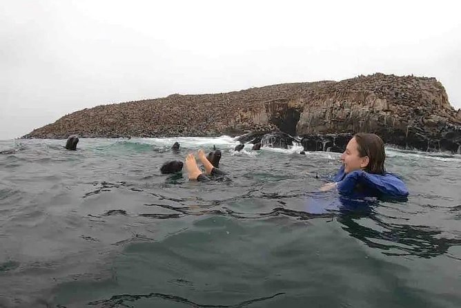 Swimming with Sea Lions in Lima - Callao Bay to the Islands of Callao: Your 4-Hour Island Cruise