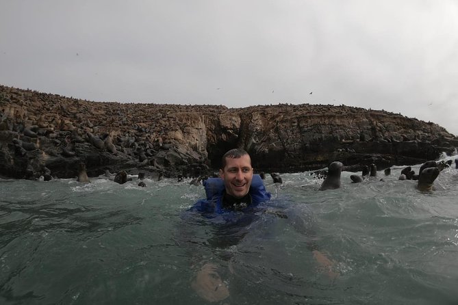 Swimming with Sea Lions in Lima - The Swim Setup: Wetsuit, Life Jacket, and What You Must Bring