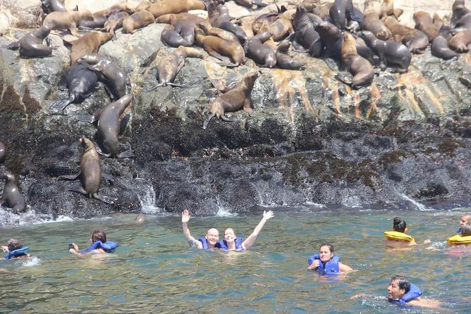 Swimming with Sea Lions in Lima - Getting There and Boat Timing: What to Expect Between 10:00 am and 3:00 pm