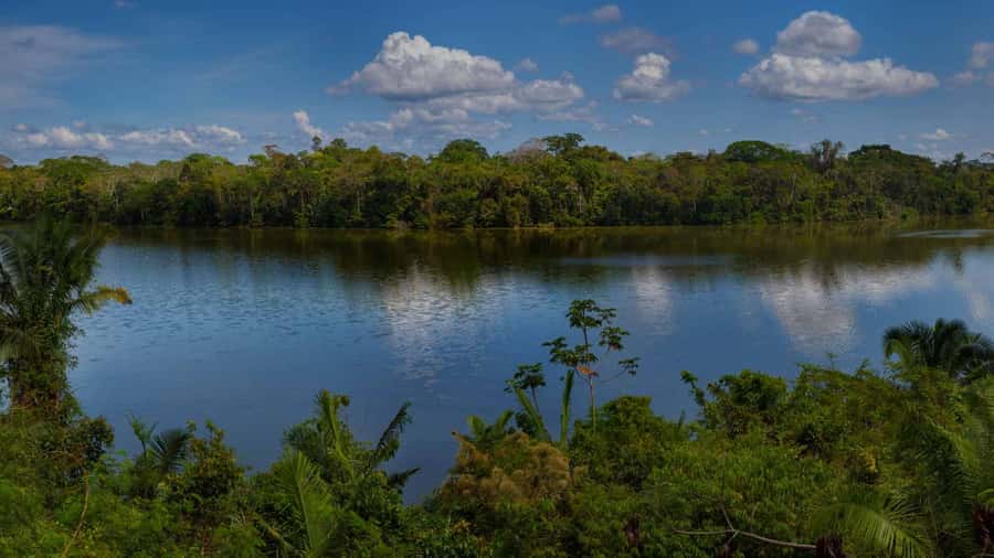 Tambopata: Lake Sandoval Canoeing with Lunch - Who should book, and who should skip this day trip