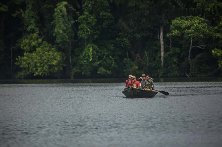 Tambopata Macaw Clay Lick 3 days/2 nights - A couple of considerations before you book