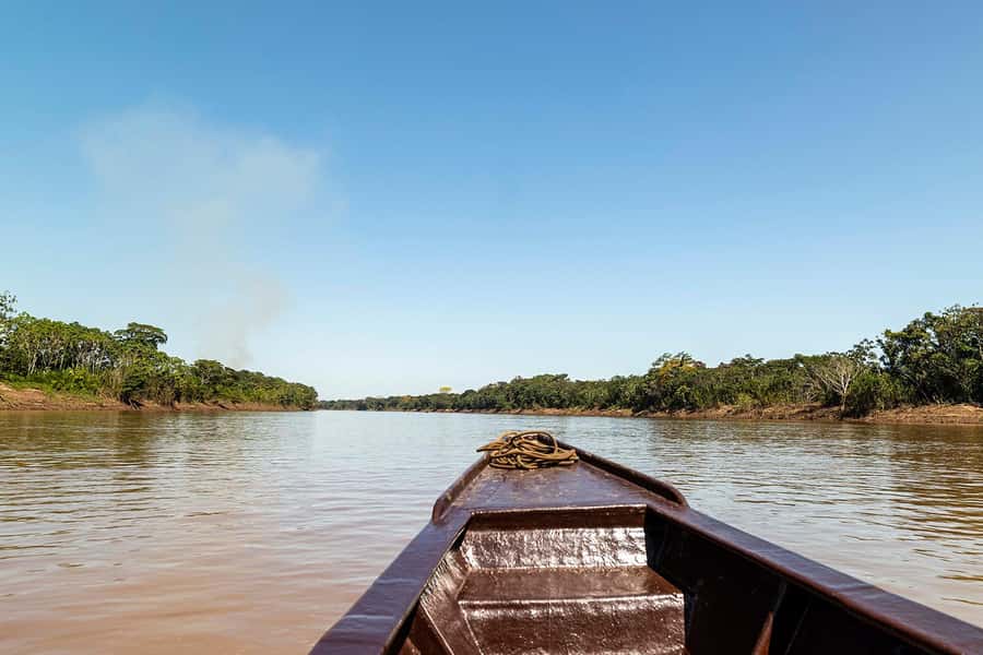 Tambopata: Multi-Day Amazon Rainforest Tour with Local Guide - Who this Amazon tour suits best