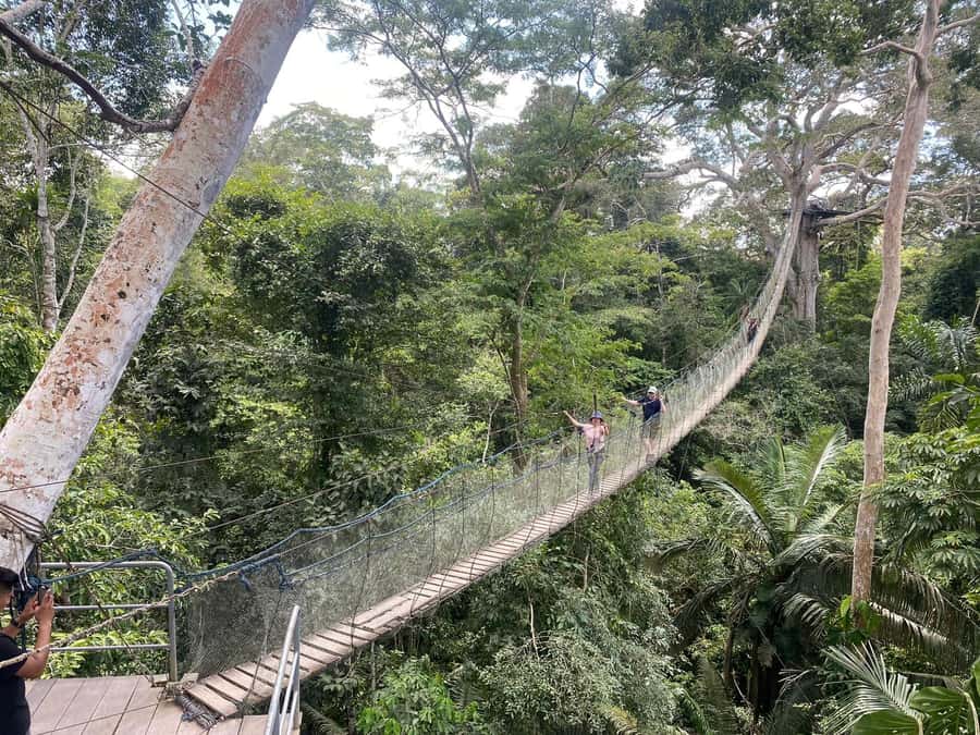 Tambopata: Multi-Day Amazon Rainforest Tour with Local Guide - Lodge life in the Amazon: rooms, mosquito nets, and limited power