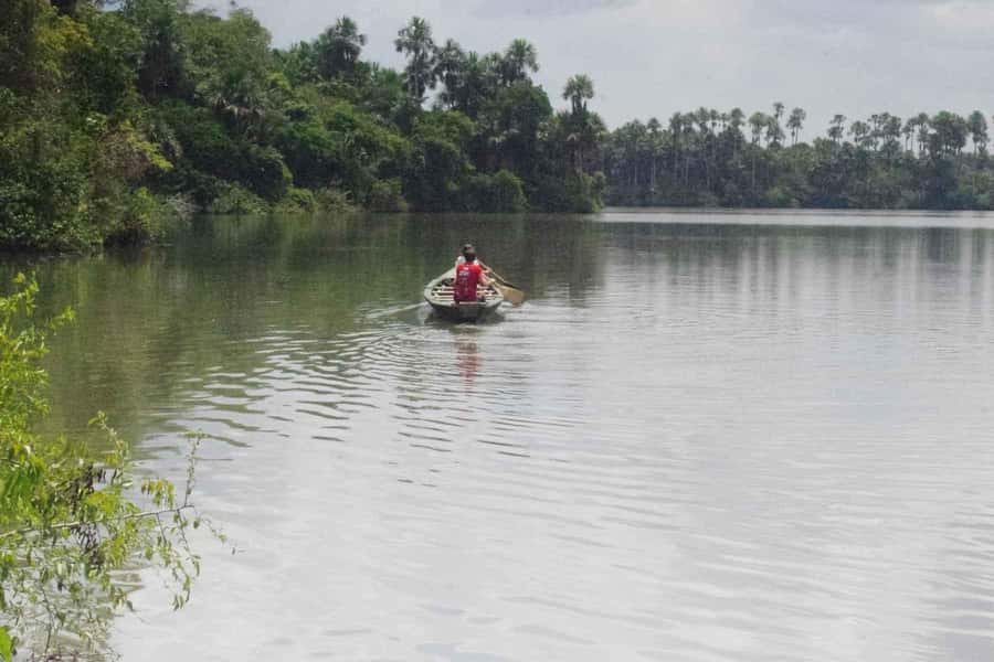 Tambopata: Multi-Day Amazon Rainforest Tour with Local Guide - Day 1 in Puerto Maldonado: river transfer, canopy tower, caimans