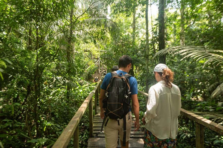 Tambopata National Reserve Tour 3 Days - Day 2 around Sandoval Lake: rowboats, bird songs, and a night walk