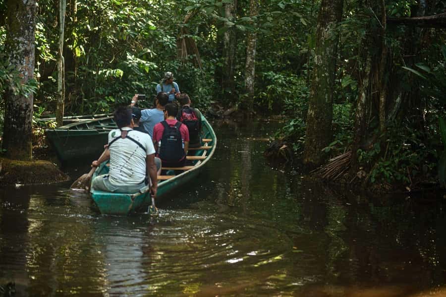 Tambopata National Reserve Tour 3 Days - What the schedule feels like: pacing, downtime, and guide time
