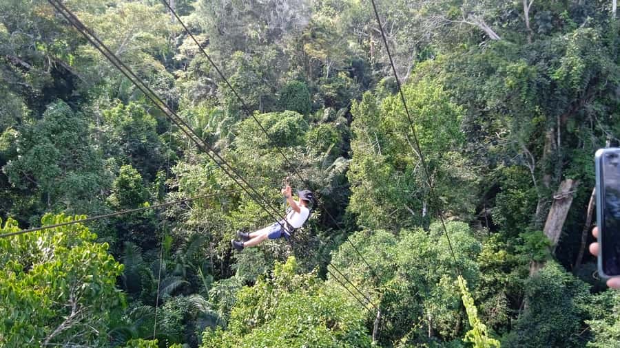 Tambopata Peruvian Amazon Jungle for Three Days/Two Nights - Evening Forest Walks, When the Jungle Starts Talking