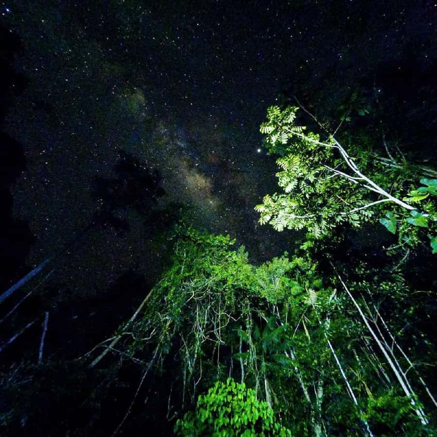 Tambopata Rainforest Night Walk & River Exploration - What to bring so the night stays fun (not miserable)