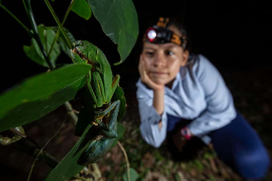 Tambopata Rainforest Night Walk & River Exploration - The 4:00 PM river start: moonlight, sloths, and that first wildlife clue