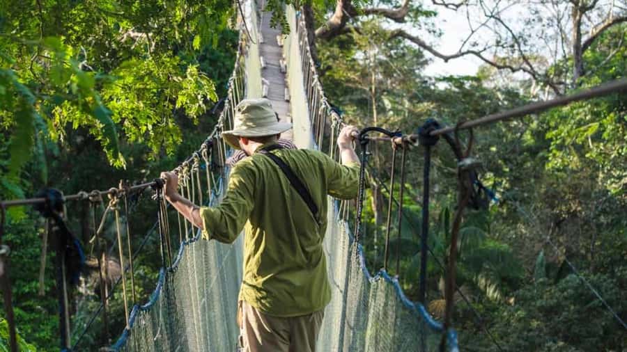 Tambopata: Zipline Adventure & Kayak to Monkey Island - Two 190m Zipline Runs, Plus the Bridge Between