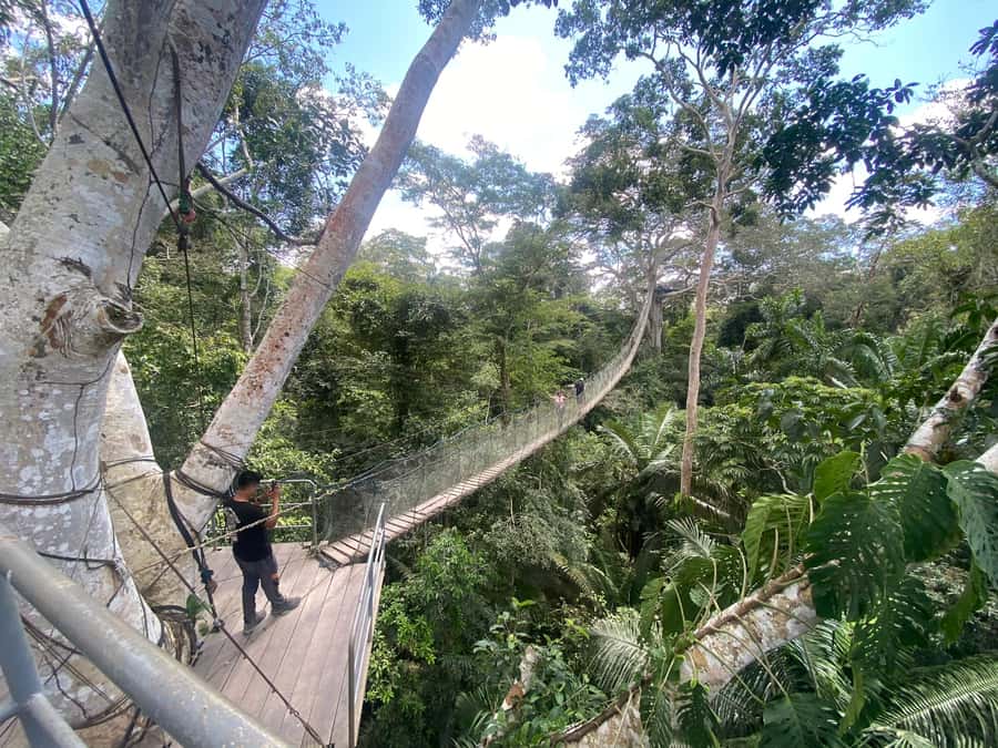 Tambopata: Zipline Adventure & Kayak to Monkey Island - Timing, Group Size, and What to Expect on the Ground