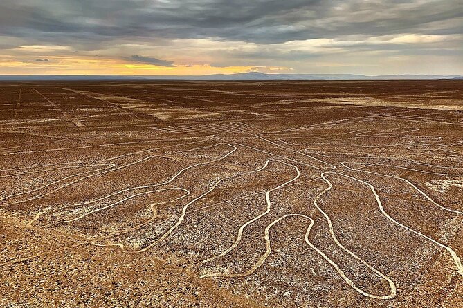 The Nazca Lines & Huacachina Oasis from Lima - Private Trip - Nazca Lines overflight: what you will see from the sky