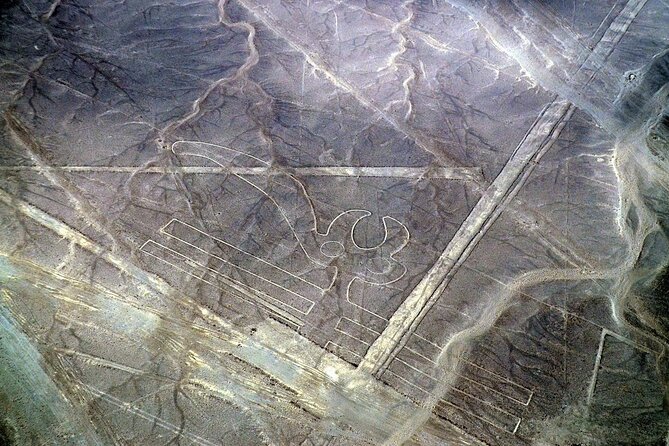 The Nazca Lines & Huacachina Oasis from Lima - Private Trip - Airport process and timing: why it can feel longer than the flight itself