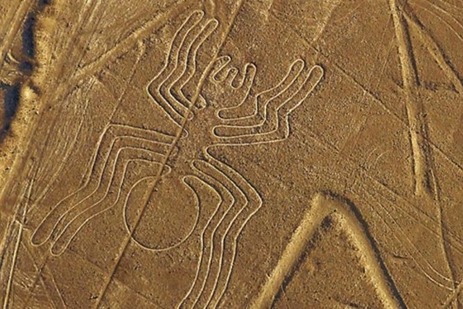 The Nazca Lines & Huacachina Oasis from Lima - Private Trip - Value and price: what $485 actually buys you