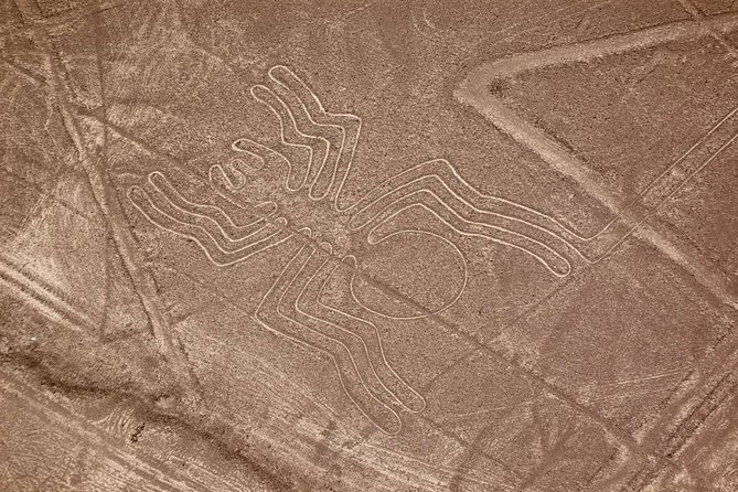 The Nazca Lines & Huacachina Oasis from Lima - Private Trip - Comfort realities: van time, rough sand, and a flight that can wobble