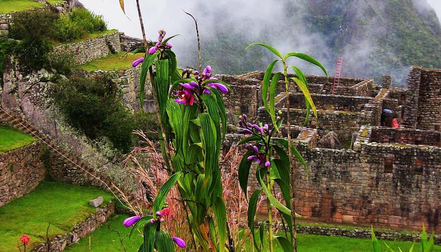 Tour Machu Picchu + Mountain of Huayna Picchu 2 days - Why an Aguas Calientes night changes everything