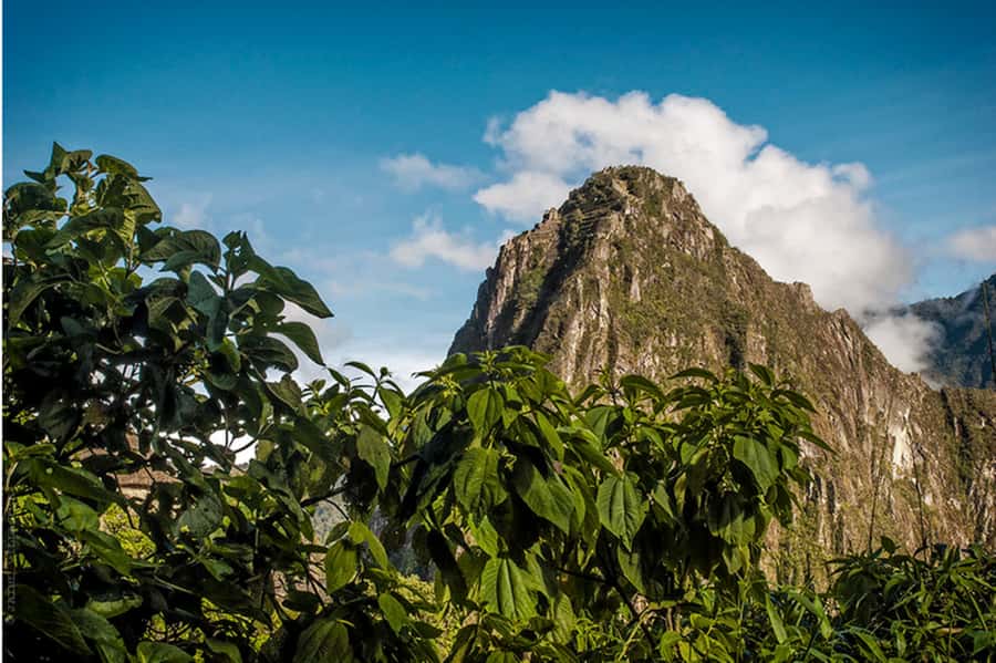 Tour Machu Picchu + Mountain of Huayna Picchu 2 days - Should you book this Machu Picchu + Huayna Picchu 2-day tour?