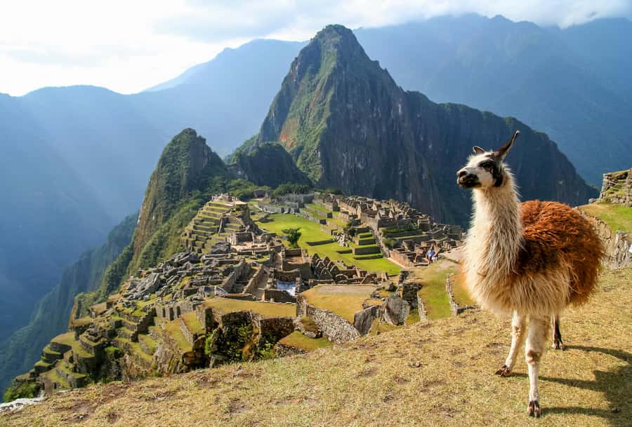 TOUR TO MACHU PICCHU FULL DAY BY TRAIN – The Best Adventure - Key points to know before you go