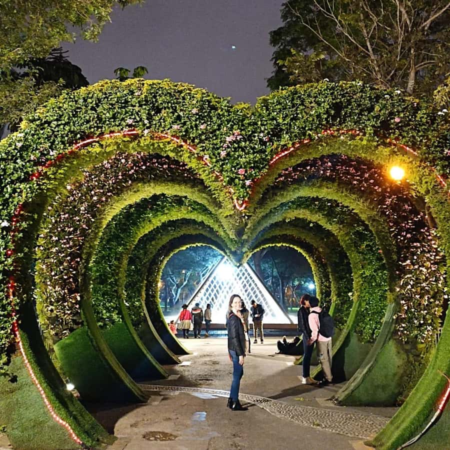 Tour to the magical water circuit with dinner and dance show - Hotel Pickup in Miraflores, Barranco, and San Isidro Without the Headaches