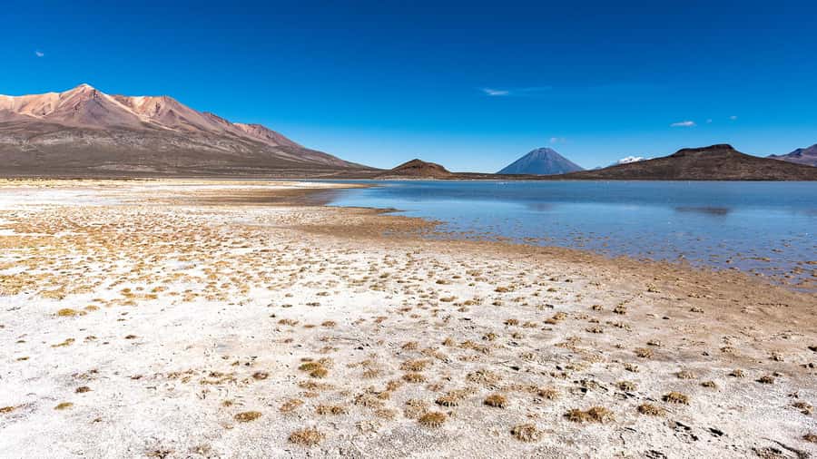Tour to the Salinas Lagoon and National Reserve in Arequipa - What the 8 hours feels like, start to finish