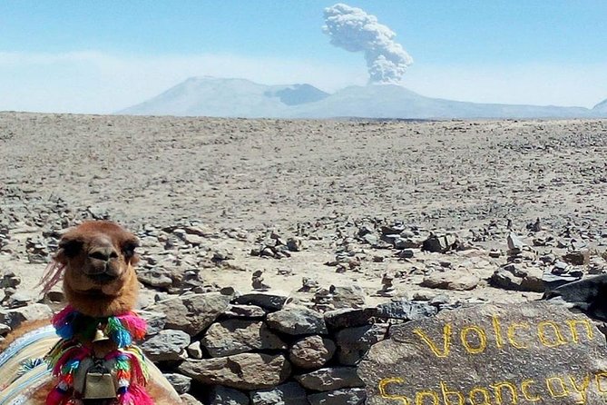 Turist Bus Colca Canyon (Chivay) To Puno - Stop 1: Abra Patapampa, the Andes viewpoint with volcano names you can remember