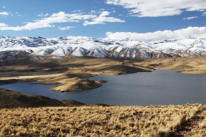 Turist Bus Colca Canyon (Chivay) To Puno - Stop 1 backup: Tocrapampa for camélidos in their grazing rhythm