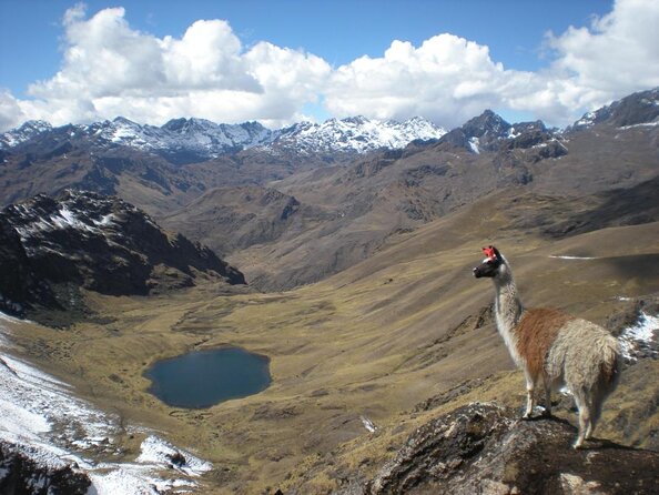 Ultimate Lares Trek & Inca Trail 5 days - Key things that make this trek worth your attention