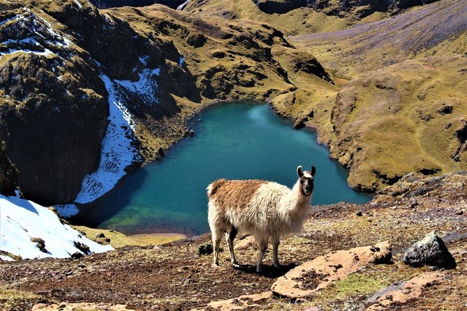 Ultimate Lares Trek & Inca Trail 5 days - Day 2: Condor Pass climb and Cancha Cancha without modern distractions