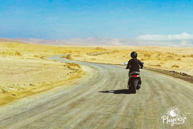 Visit the Paracas National Reserve on a SCOOTER - Route highlights you will actually use: Yumaque, Playa Roja, cathedral, mine, lagoon