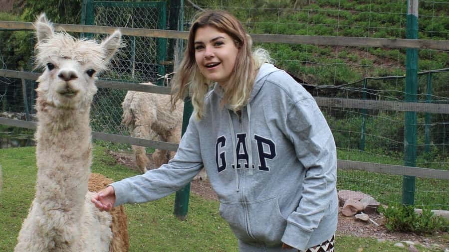 Visit to the Cochahuasi Animal Sanctuary with rescued animal - The schedule inside the sanctuary: what “40 minutes to 1 hour” really means