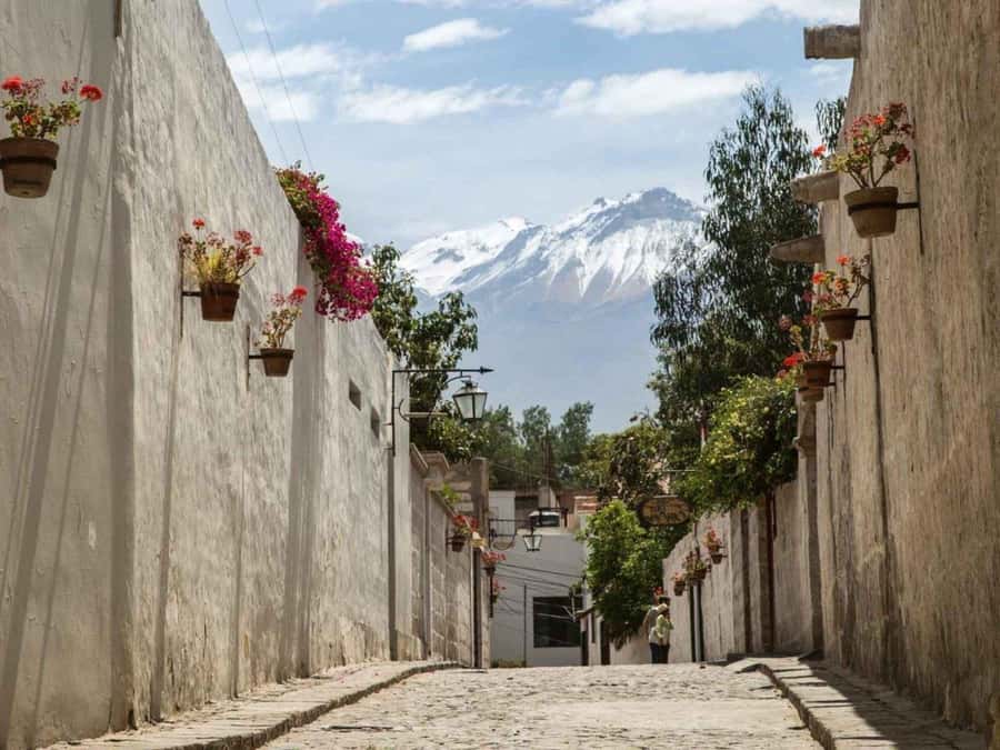 Walking tour in the Historic Center of Arequipa - Optional Extra Entries: Santa Catalina Convent and the Juanita Mummy
