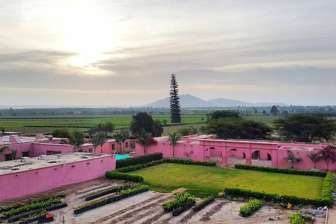 Winery and Pisco Distillery tour - Ica is the right base for a pisco-and-winery day