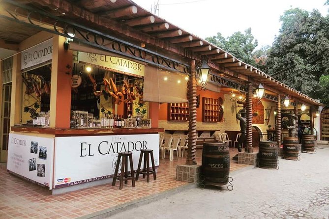 Winery and Pisco Distillery tour - Stop 1 at Tacama: the oldest winery in South America (and what to plan for)
