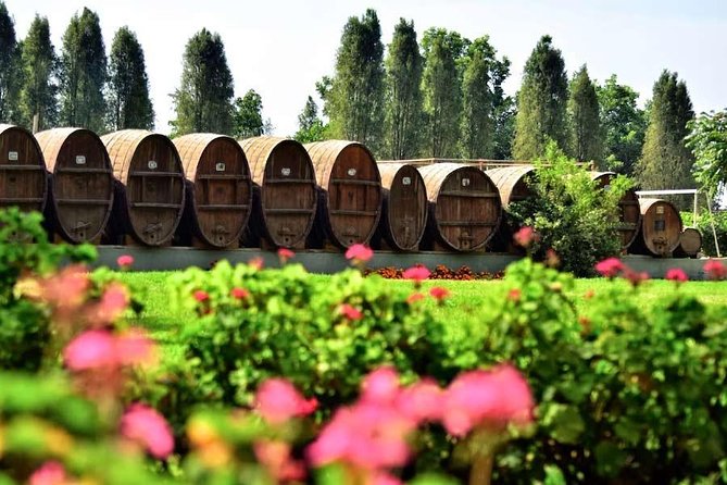 Winery and Pisco Distillery tour - Stop 3 at Pisco Nietto: family production since 1857