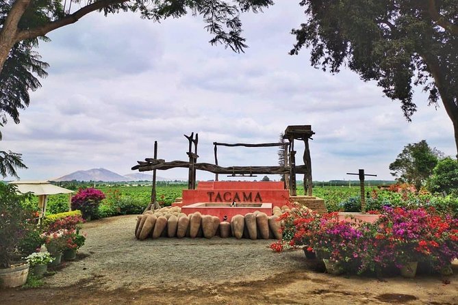 Winery and Pisco Distillery tour - Monday matters: Tacama is closed, Vista Alegre takes its place